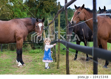 Cute little baby girl playing with horses on a farm in autumn 10415348