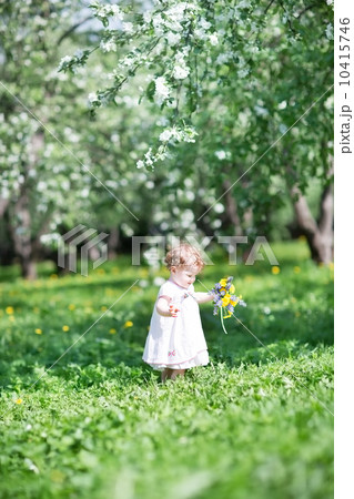 Beautiful little baby walking in a blooming garden 10415746
