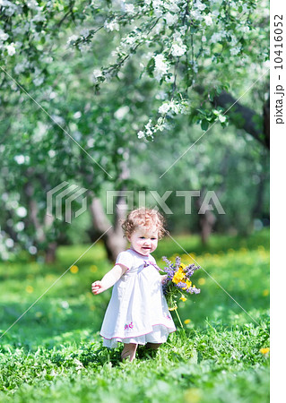 Adorable baby girl in a beautiful apple tree garden Adorable baby girl in a beautiful apple tree garden 10416052