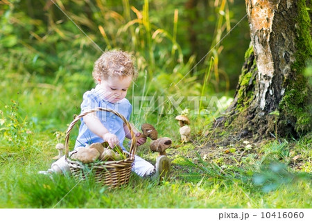 Adorable baby girl gathering mushrooms in a big basket in an aut Adorable baby girl gathering mushrooms in a big basket in an aut 10416060
