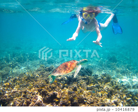 Child snorkeling in a tropical sea next to a turtle 10416879