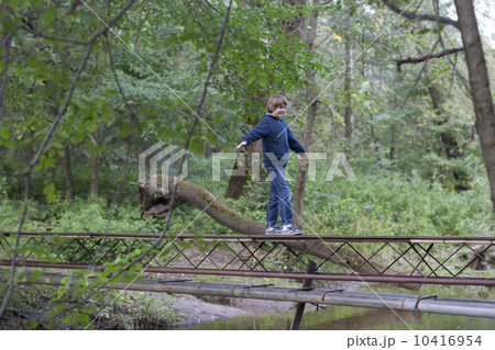 Boy walking over a bridge in the forest 10416954