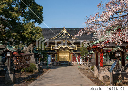 上野東照宮拝殿 上野東照宮拝殿 10418101