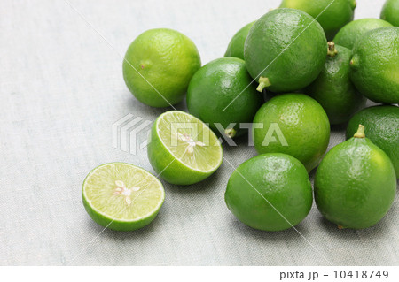 キーライム 10418749