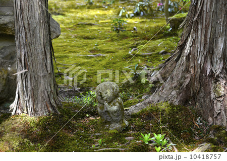 三千院わらべ地蔵 三千院わらべ地蔵 10418757