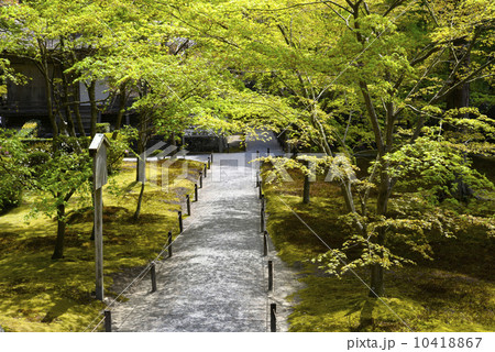 新緑と三千院 10418867