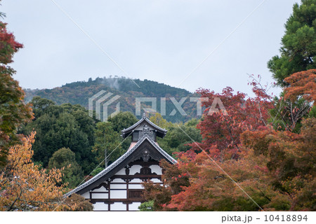 天龍寺 庫裏 天龍寺 庫裏 10418894