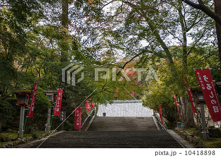 虚空蔵　法輪寺 10418898