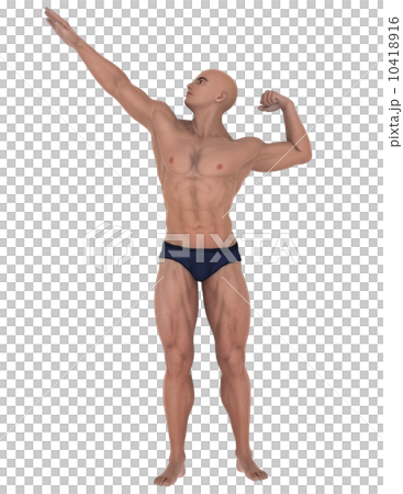 身體建設者 身體建設者 10418916