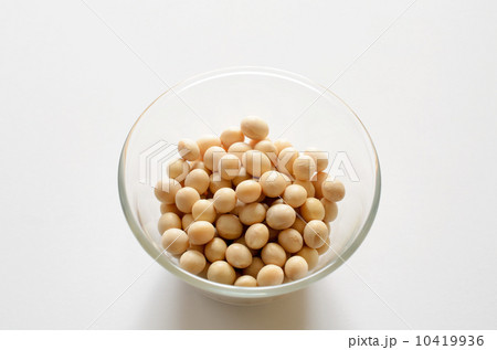 大豆 10419936