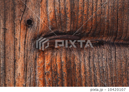 wooden eye wooden eye 10420107