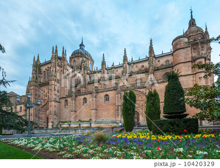 New cathedral (Catedral Nueva) in Salamanca, Spain 10420329