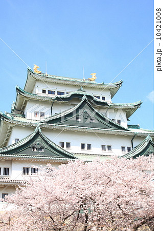 4月愛知 名古屋城・天守と桜 4月愛知 名古屋城・天守と桜 10421008