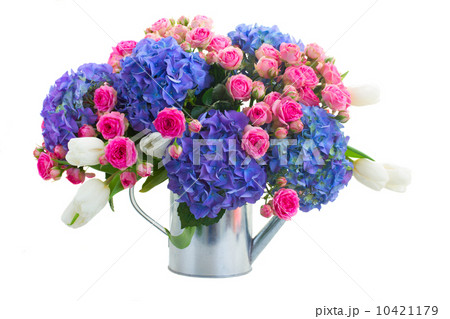 boquet of white tulips, pink roses and blue hortensia flowers 10421179
