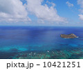マカプウ湾を見下ろす 10421251