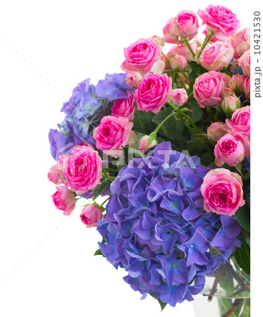 pink roses and blue hortensia flowers close up 10421530