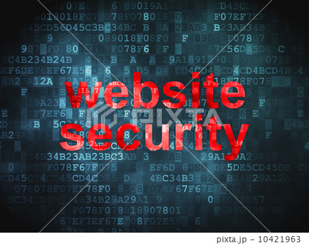 Privacy concept: Website Security on digital background 10421963