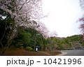 昭和天皇武蔵野陵　参道 10421996