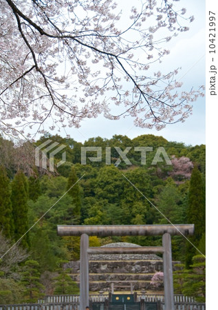 昭和天皇武蔵野陵 10421997