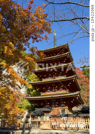 長谷寺の紅葉　五重塔 10422066