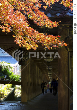 長谷寺の紅葉　登廊 10422074