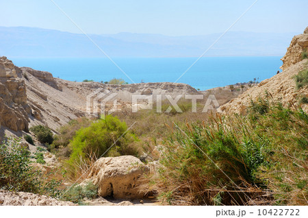 Ein Gedi Nature Reserve 10422722