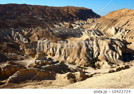 Judean Desert, the road to the Dead Sea. 10422724