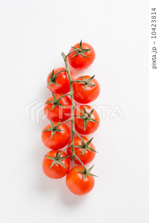 Fresh cherry tomatoes on stem 10423814