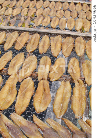 ふぐの味醂干し 10424666