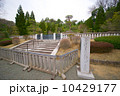 香淳皇后武蔵東陵 10429177