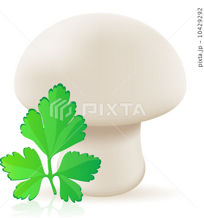 mushroom champignon vector illustration mushroom champignon vector illustration 10429292