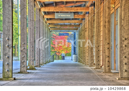 Columned hallway with nature view 10429868