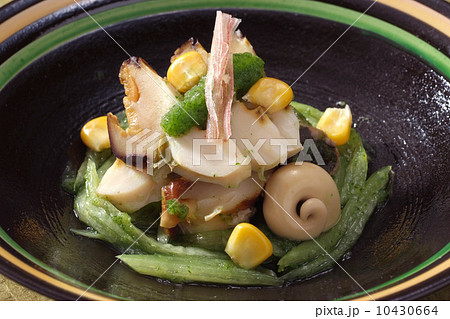 魚貝類　刺身　あわび　あわび刺身　アワビ料理　魚　高級食材　一品料理　和食　日本食 10430664