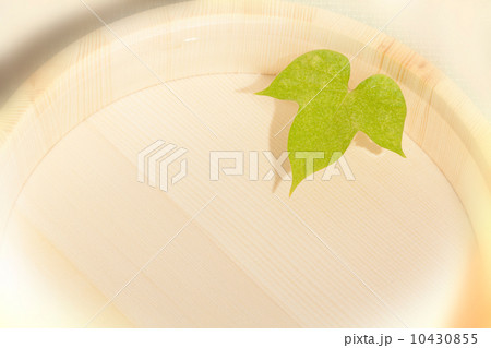 朝顔の葉 10430855