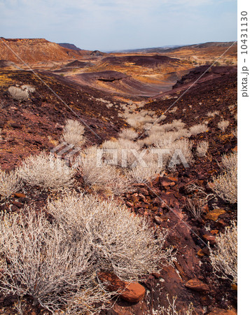 Burnt mountain 10431130