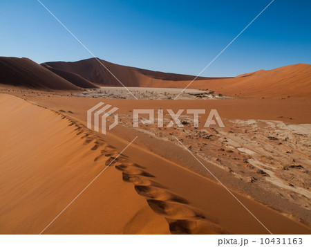 Footprints in the sand of Namib desert red dunes Footprints in the sand of Namib desert red dunes 10431163