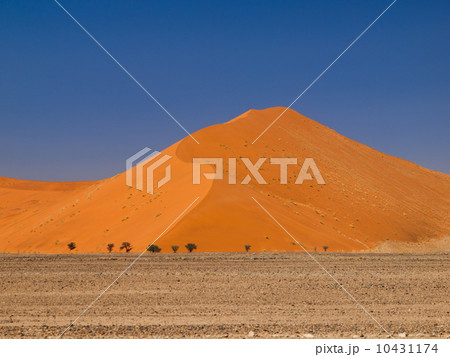 Red dune of Namid desert Red dune of Namid desert 10431174