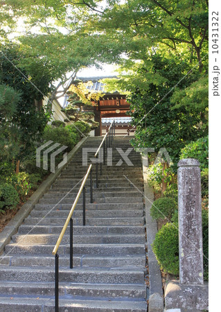 招善寺 招善寺 10431322