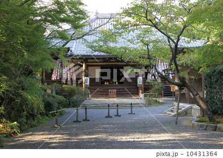 京都市北区にある「常照寺」 京都市北区にある「常照寺」 10431364