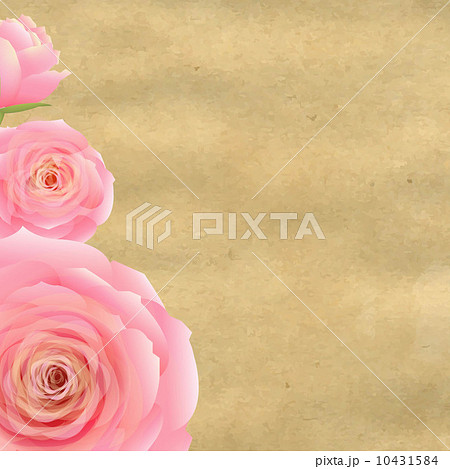 Pink Rose With Old Paper 10431584