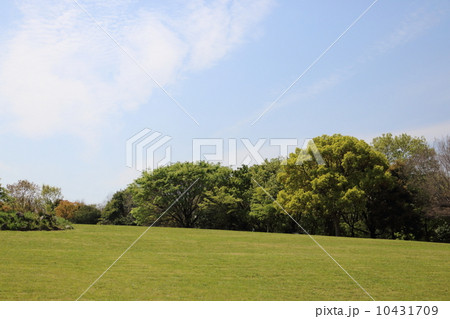 公園の広場 10431709