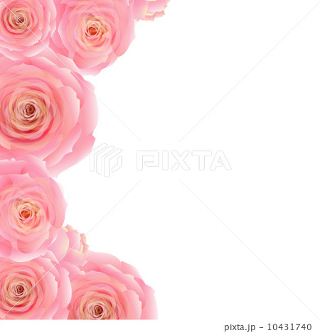 Pink Rose Border Pink Rose Border 10431740