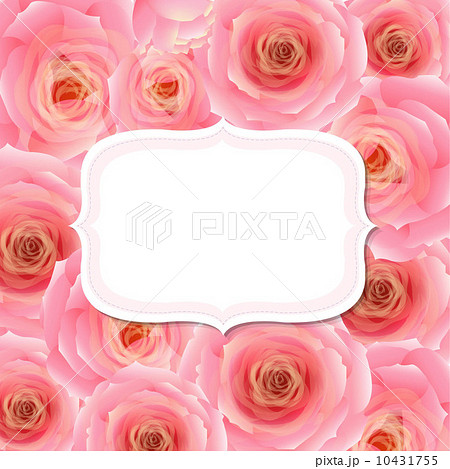 Label With Pink Rose 10431755