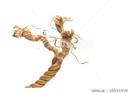 rope on a white background 10431919