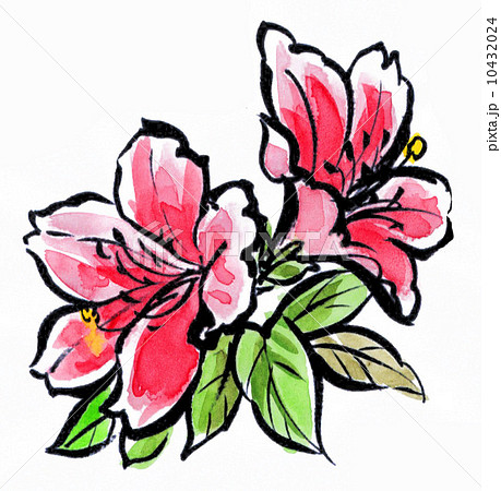 tutuji14422pix1 10432024