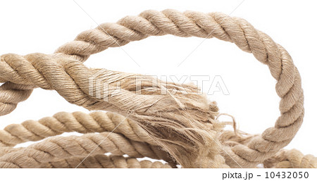 ship rope and knot isolated on white background 10432050
