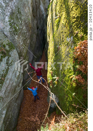 Large stone 10433410