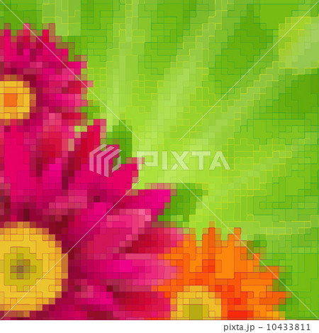 Flowers Card 10433811