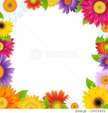 Colorful Gerbers Flower Frame Colorful Gerbers Flower Frame 10433831