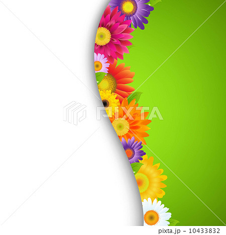 Colorful Gerbers Flower Border 10433832